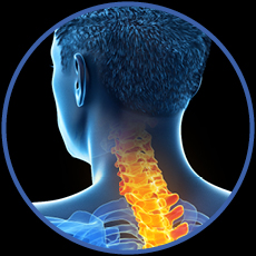 Neck/Cervical Spine