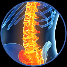 Lower Back/Lumbar Spine